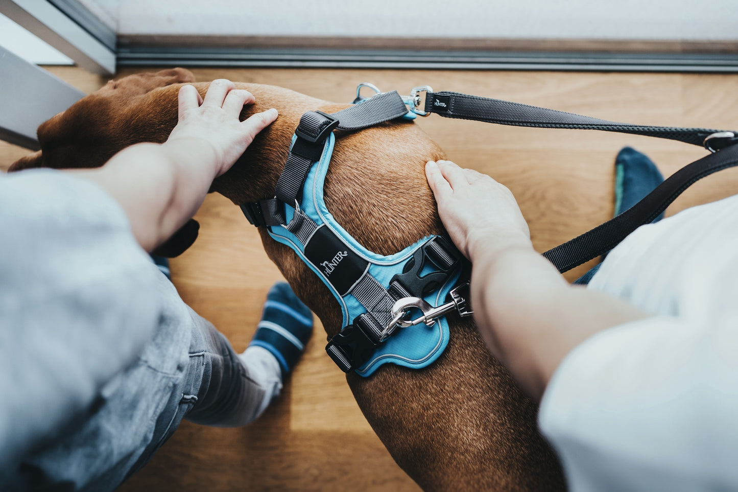 Hunter Divo Ergonomic Dog Harness