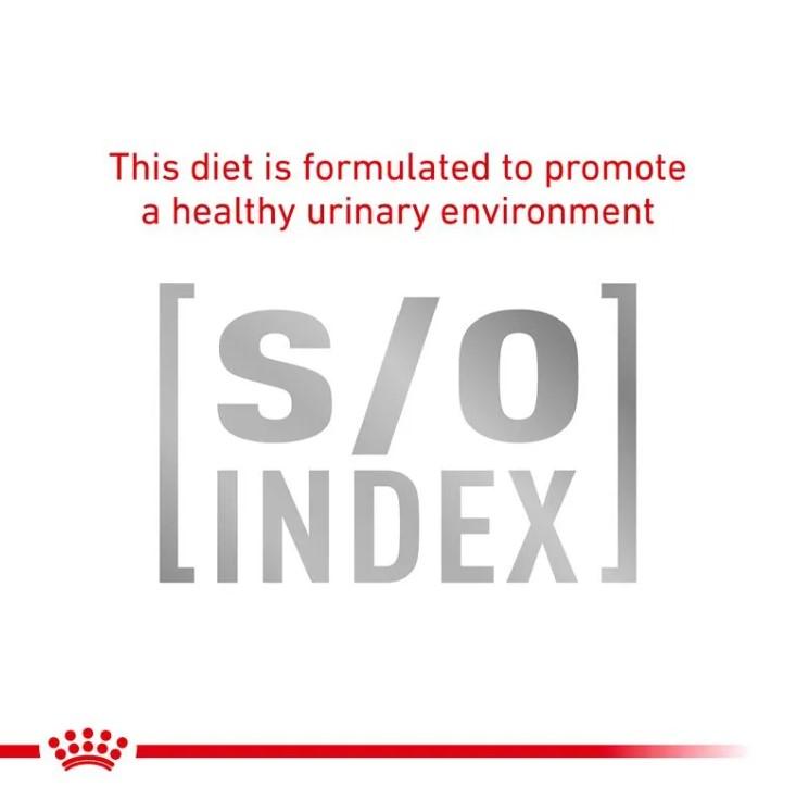 Royal Canin Vet Canine Urinary S/O Wet Dog Food
