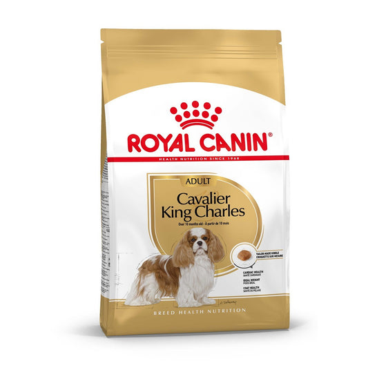 Royal Canin Cavalier King Charles Spaniel Adult Dry Dog Food