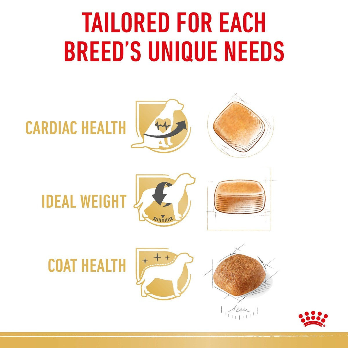 Royal Canin Cavalier King Charles Spaniel Adult Dry Dog Food