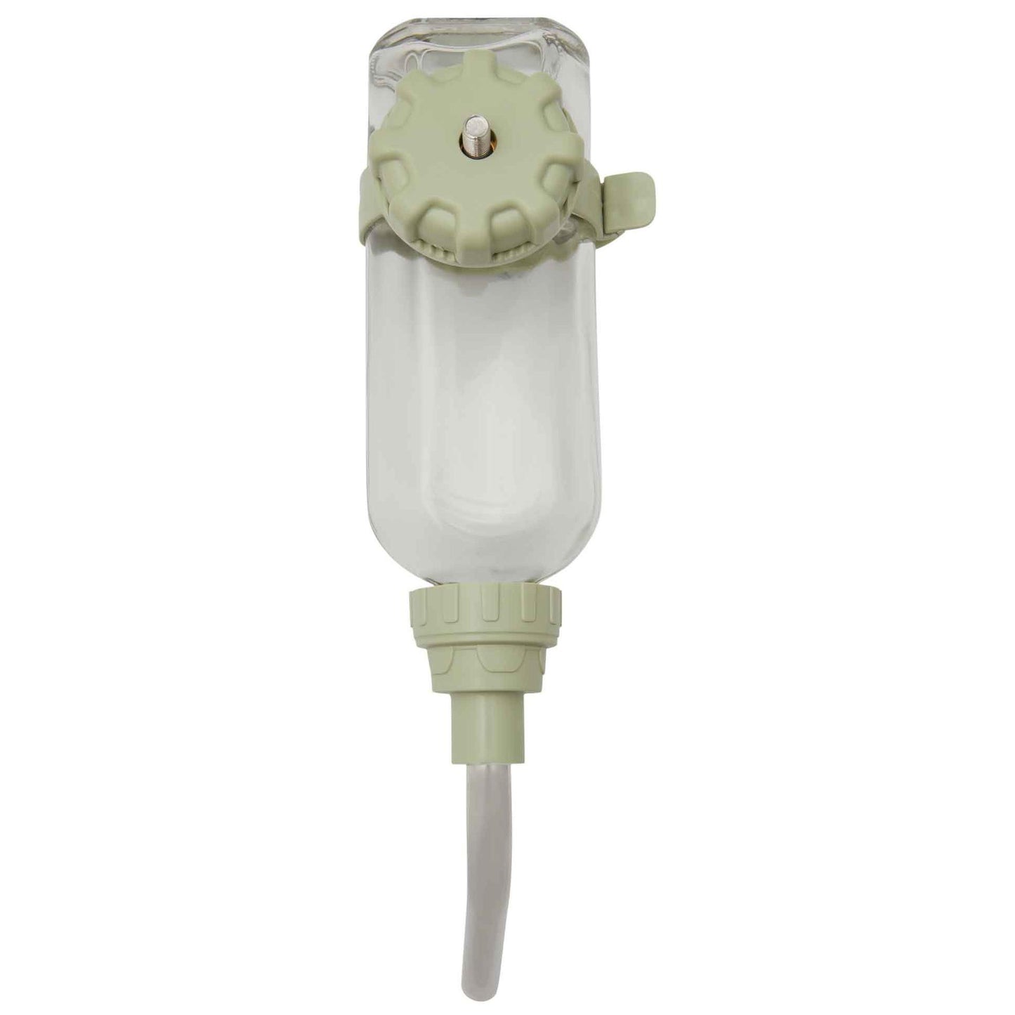 Lexi & Me Small Animal Glass Water Bottle