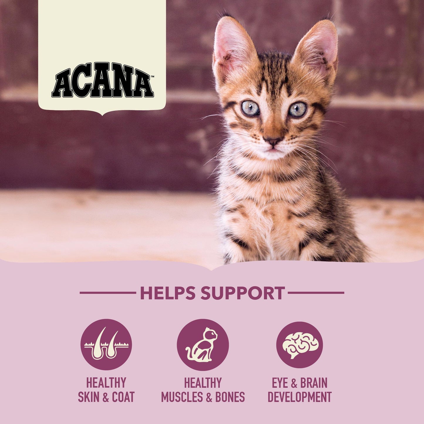 ACANA First Feast Dry Kitten Food