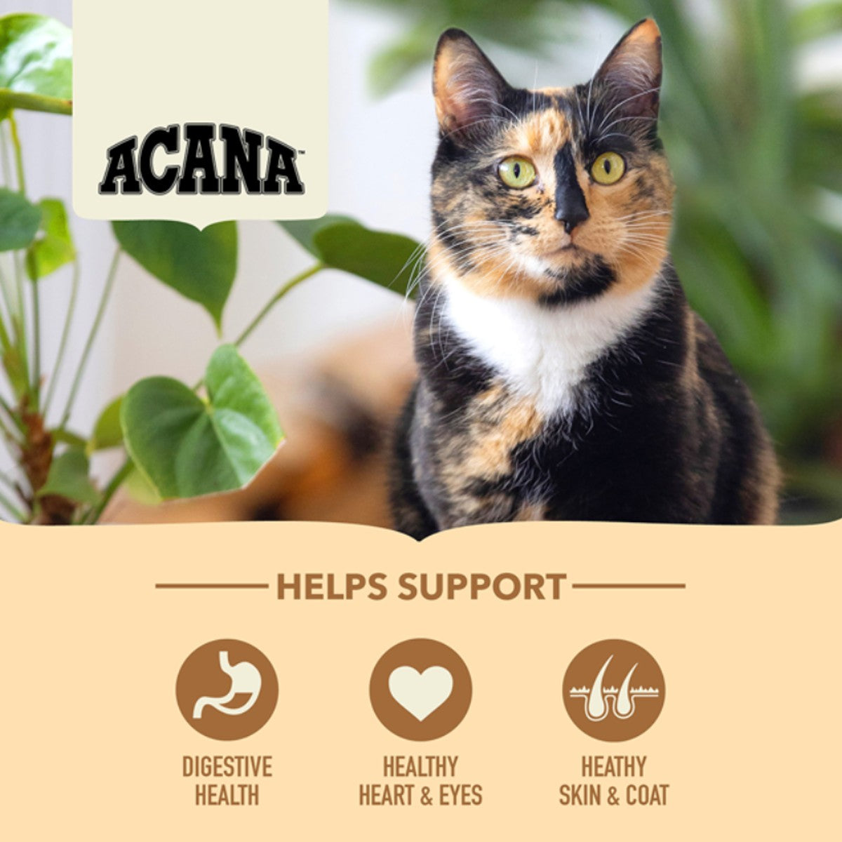 ACANA Homestead Harvest Dry Cat Food