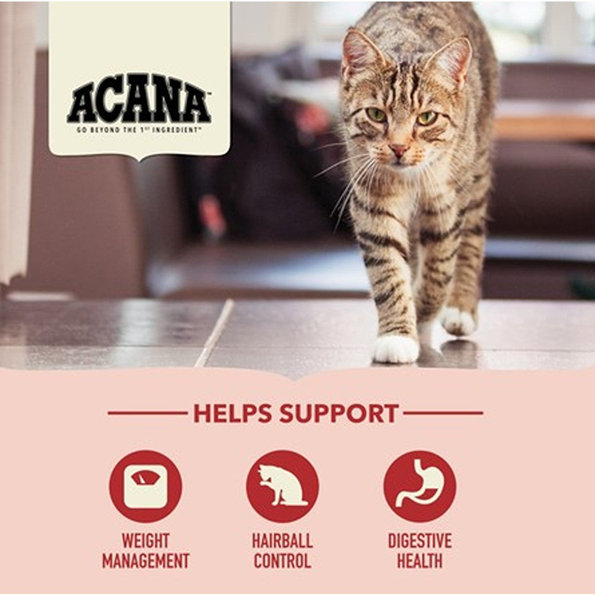 ACANA Indoor Entree Dry Cat Food