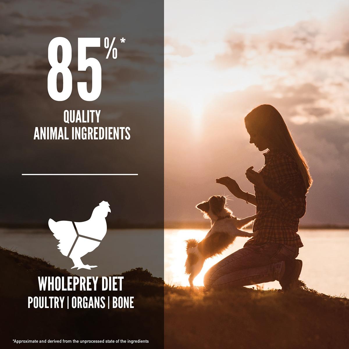 ORIJEN Small Breed Dry Dog Food