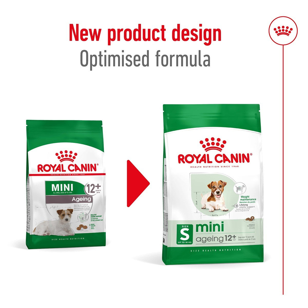 Royal Canin Mini Ageing 12+ Dry Dog Food