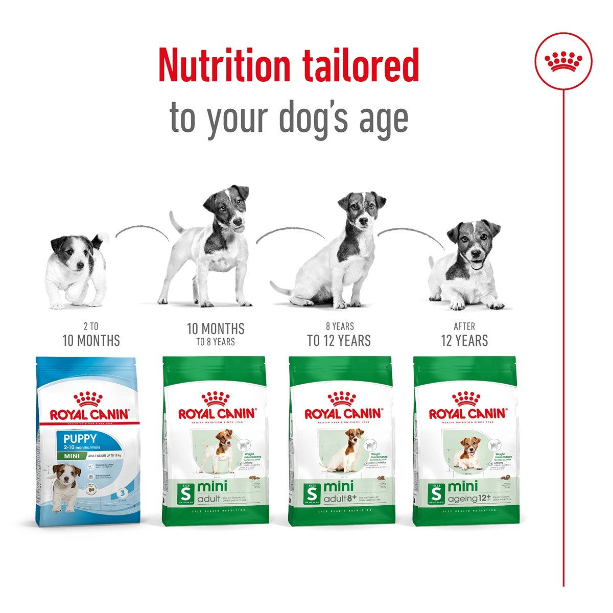 Royal Canin Mini Ageing 12+ Dry Dog Food