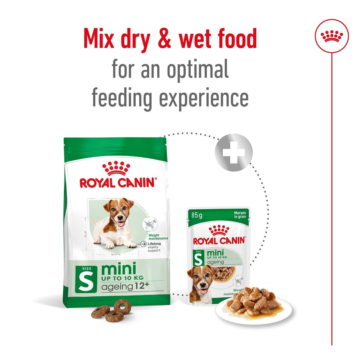 Royal Canin Mini Ageing 12+ Dry Dog Food