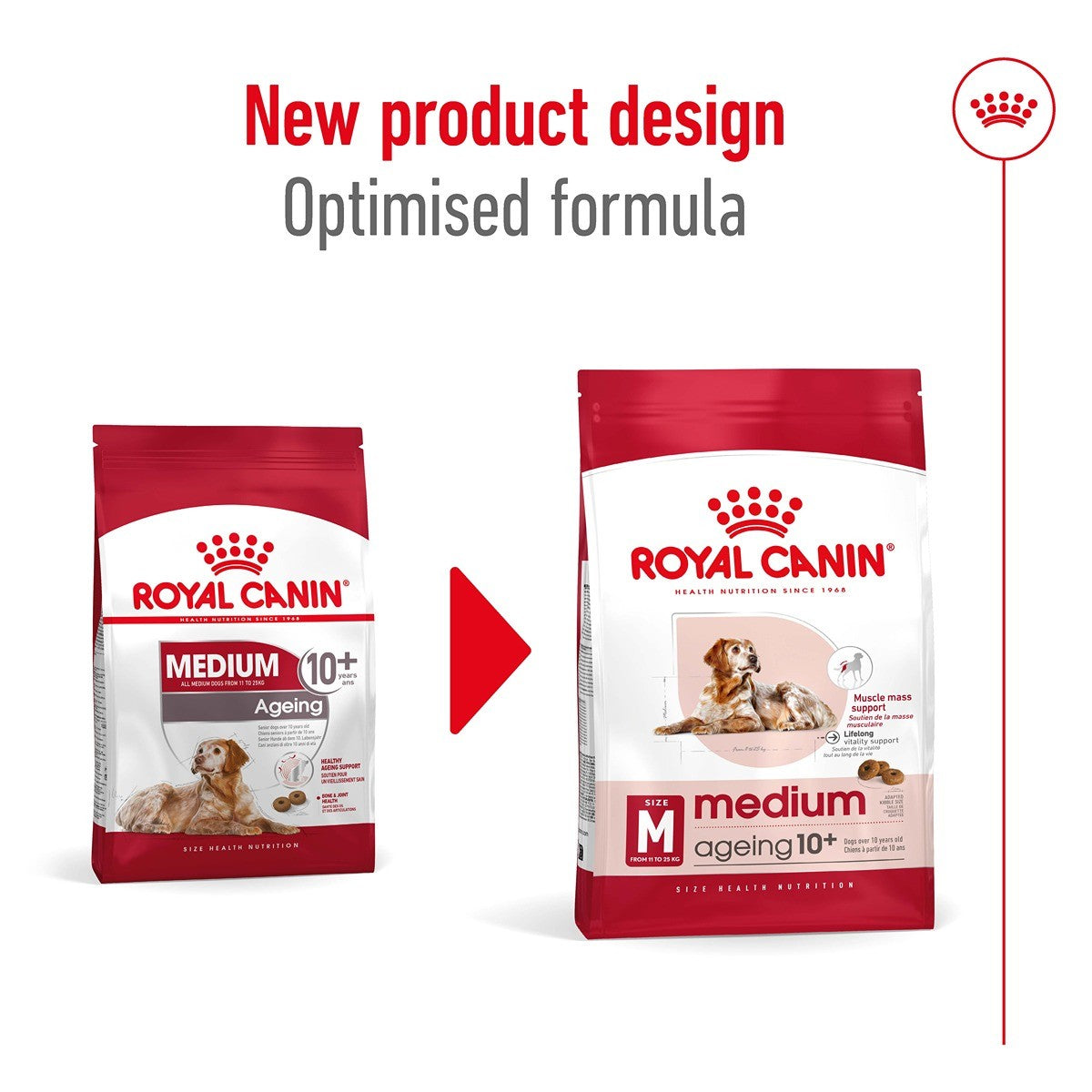 Royal Canin Medium Ageing 10+ Dry Dog Food