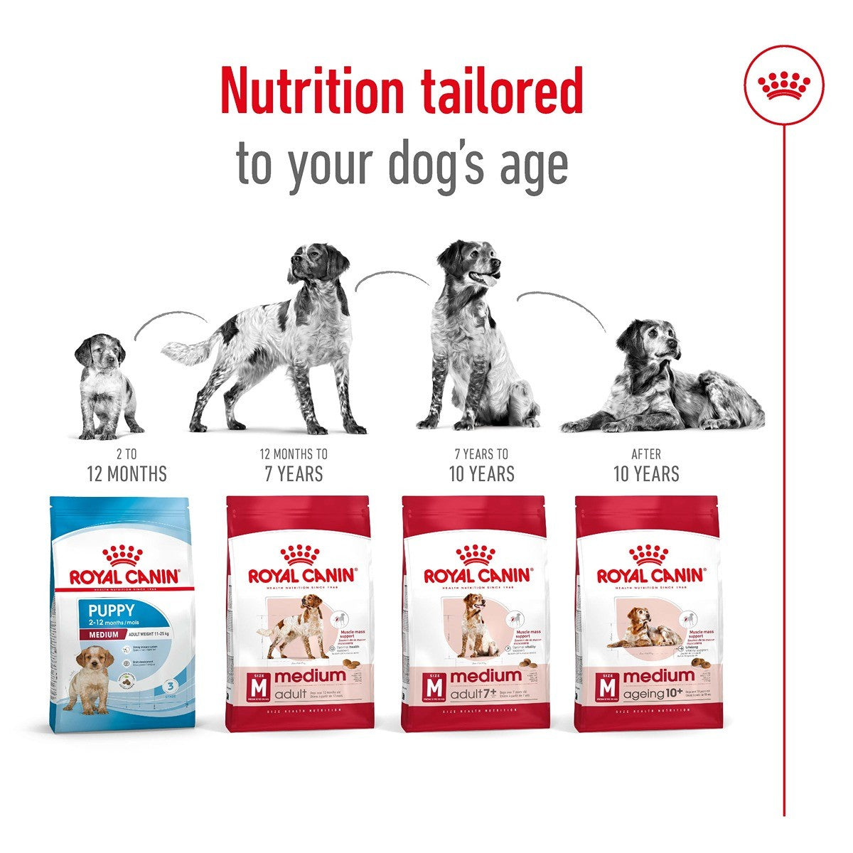 Royal Canin Medium Ageing 10+ Dry Dog Food