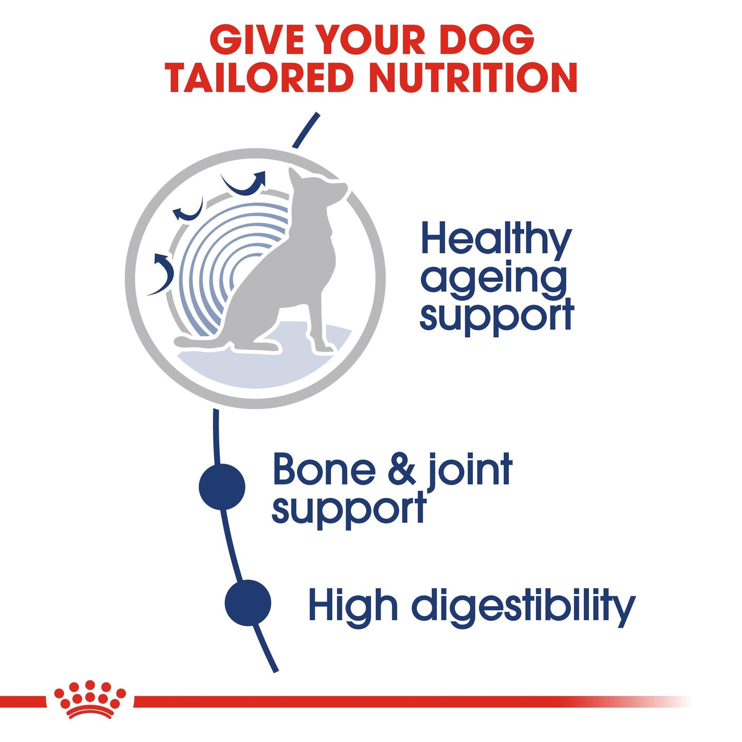 Royal Canin Maxi Ageing 8+ Gravy Wet Dog Food