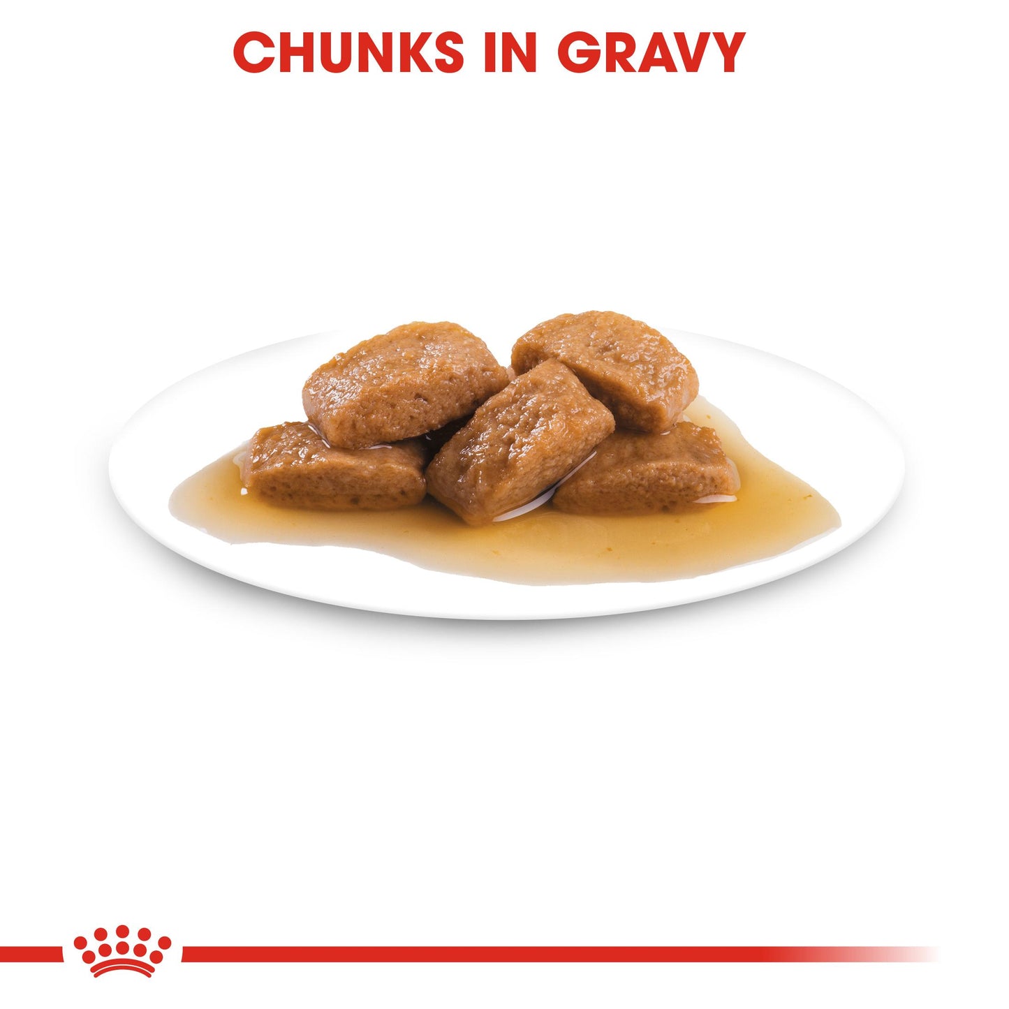 Royal Canin Maxi Ageing 8+ Gravy Wet Dog Food