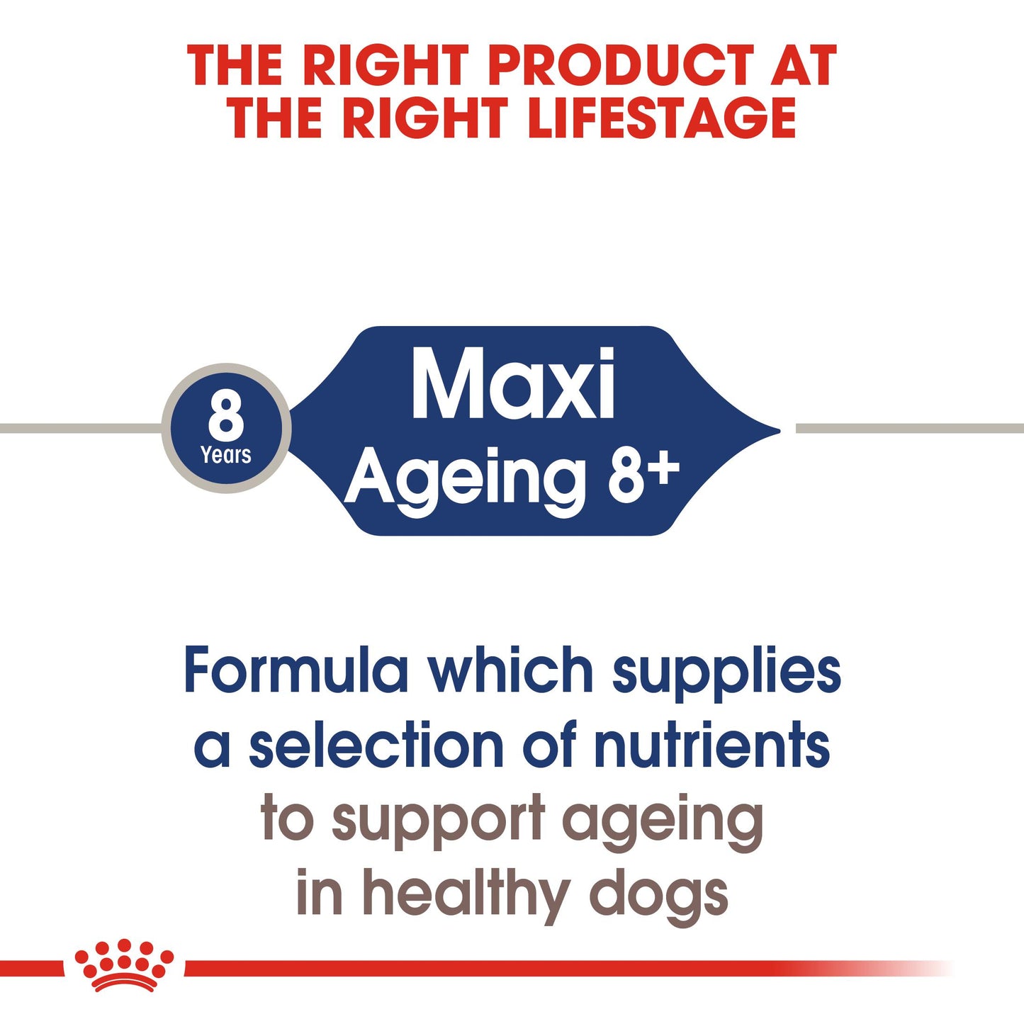 Royal Canin Maxi Ageing 8+ Gravy Wet Dog Food