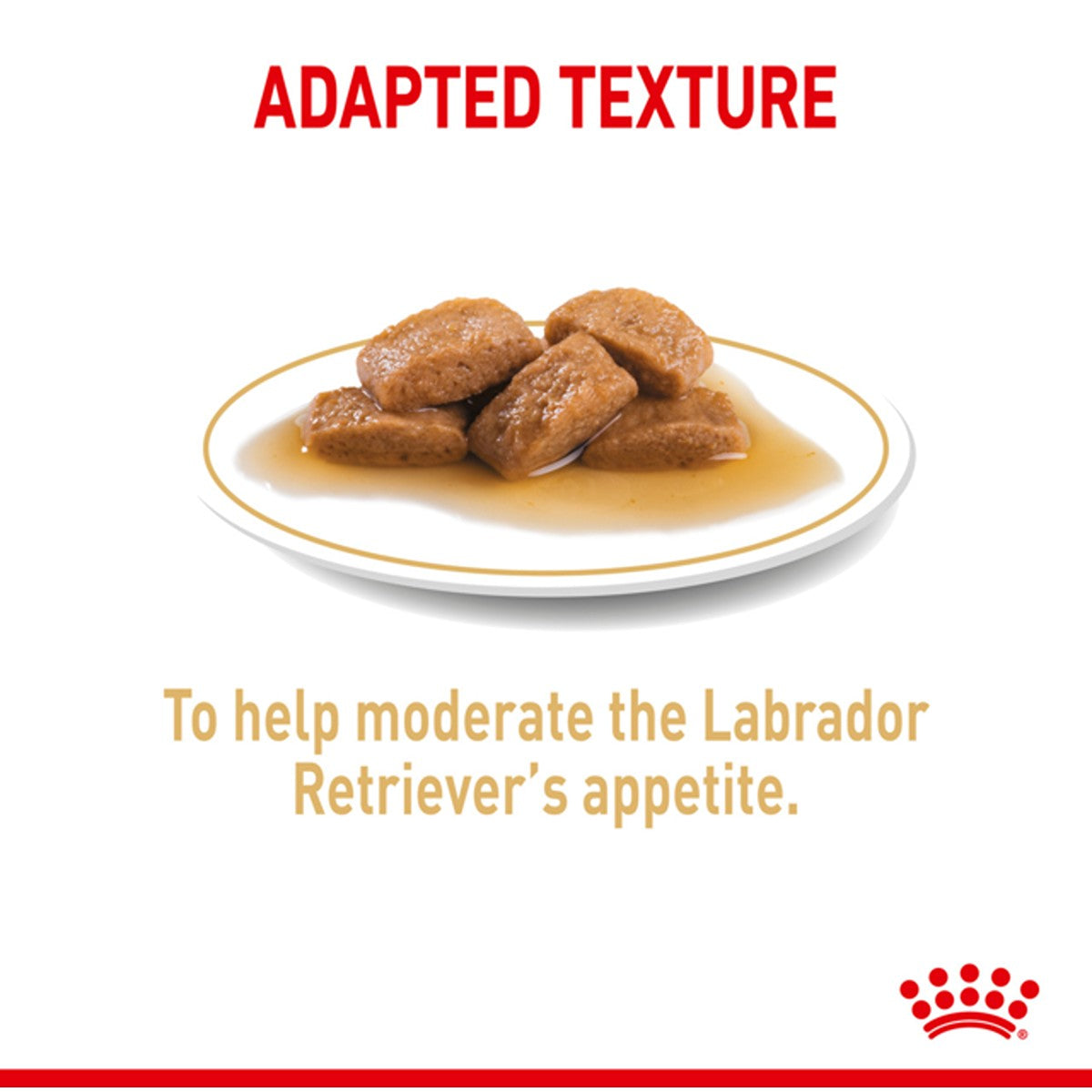 Royal Canin Labrador Retriever Gravy Wet Dog Food