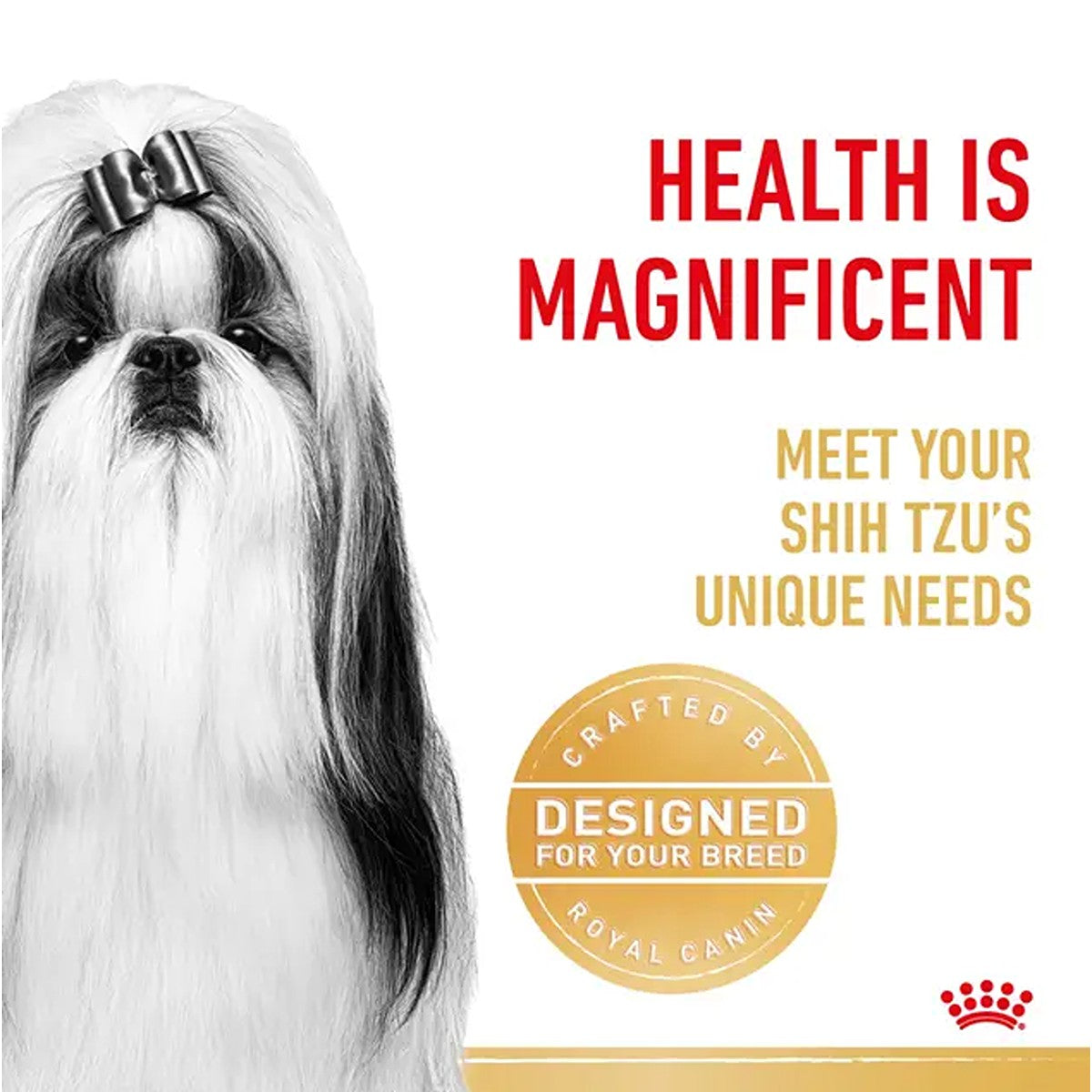 Royal Canin Shih Tzu Loaf Wet Food