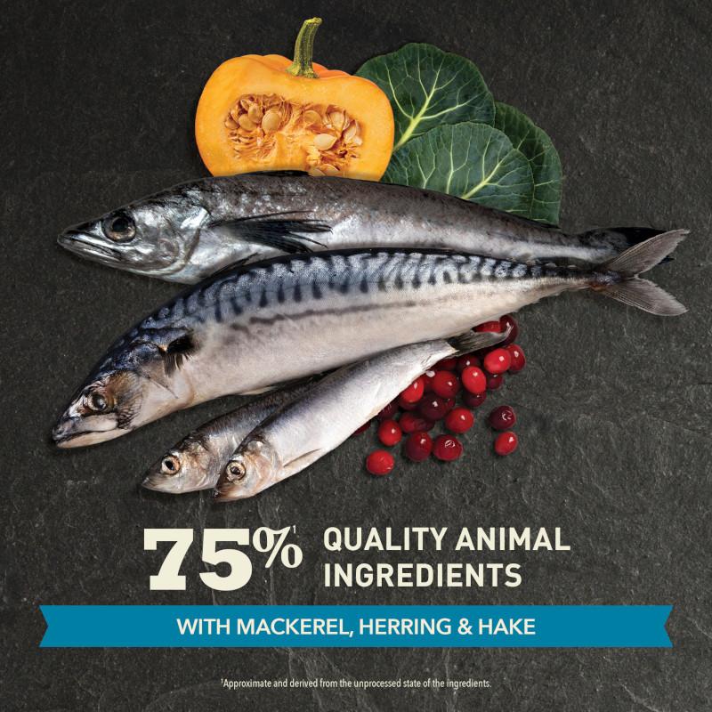 ACANA Highest Protein Pacifica Dry Cat Food Recipe
