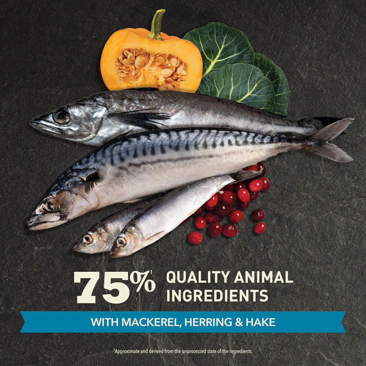 ACANA Highest Protein Pacifica Dry Cat Food Recipe