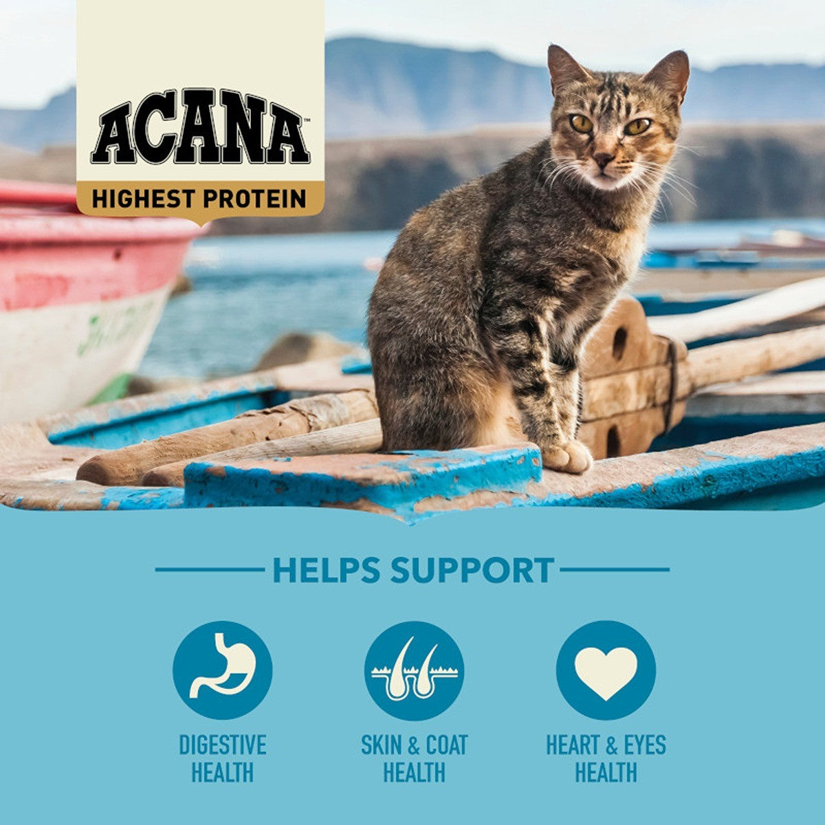 ACANA Highest Protein Pacifica Dry Cat Food Recipe