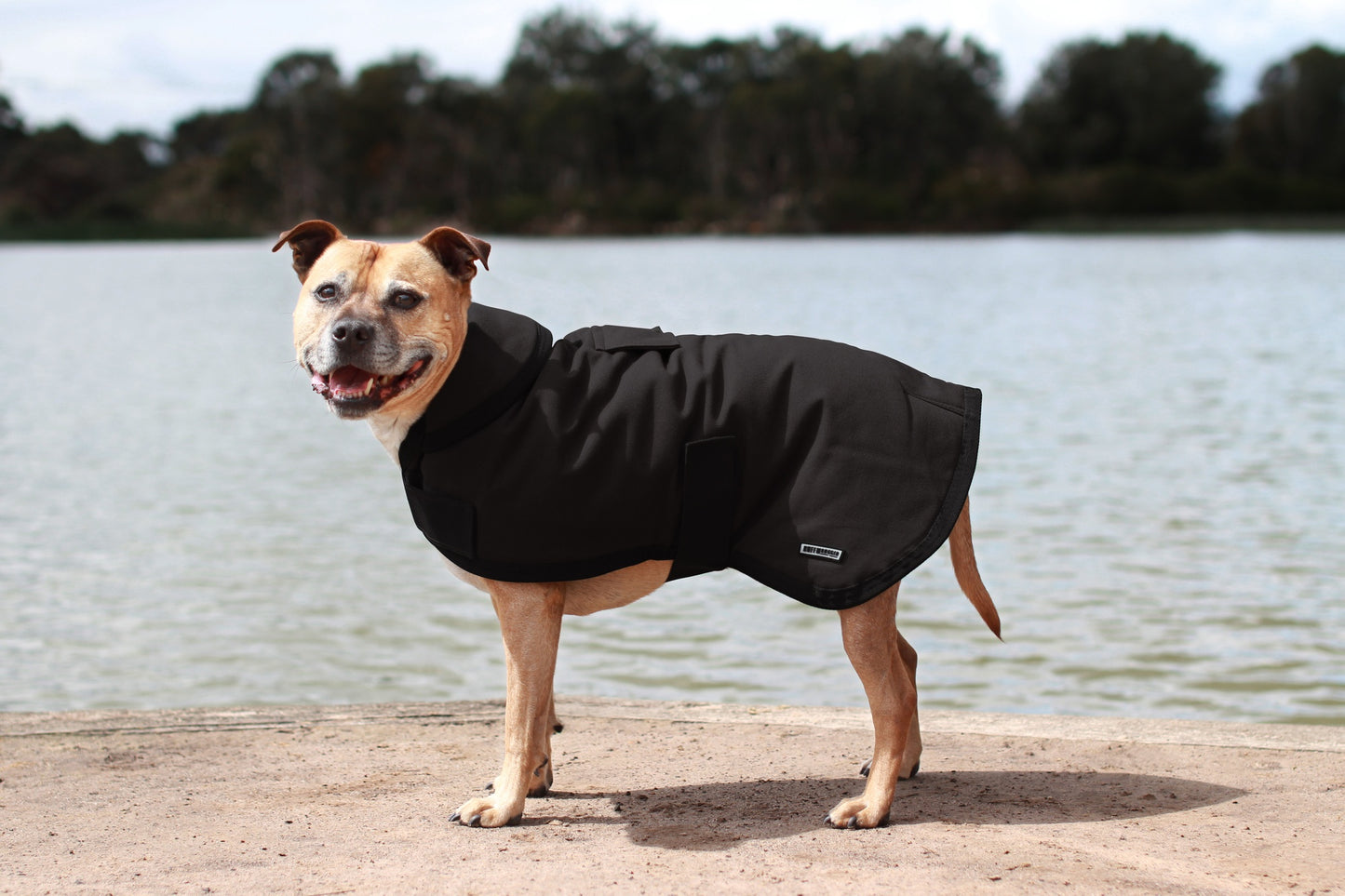 Ruff n Rugged Canvas Dog Coat Black