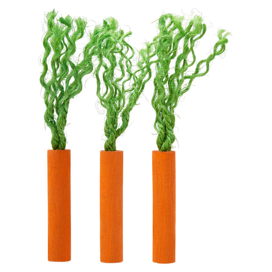 Lexi & Me Small Animal Wooden Chew Carrot Sticks