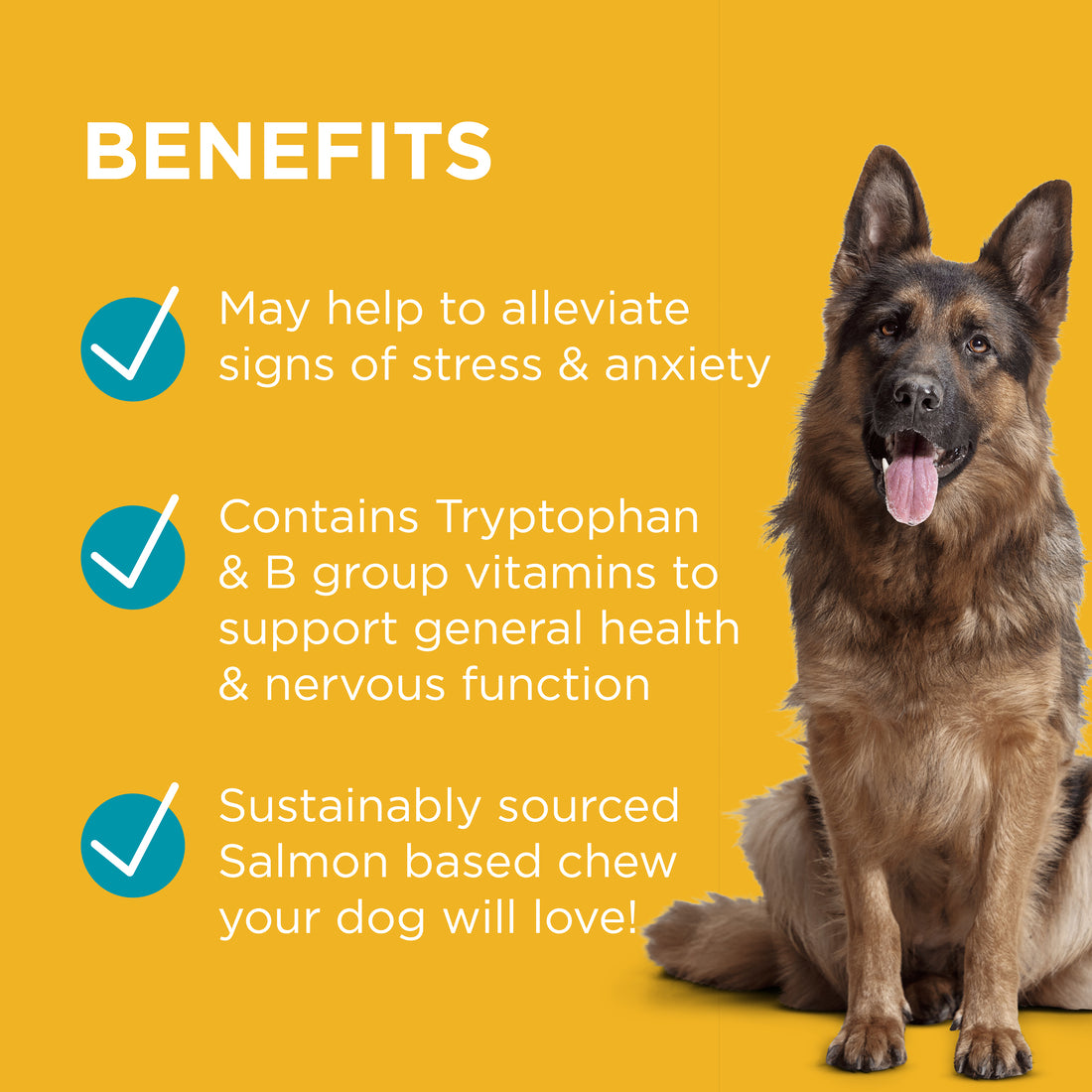 PAW Complete Calm Chews for Dogs