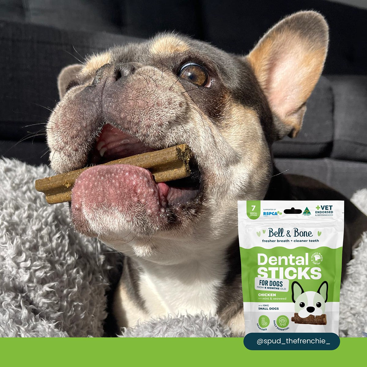Bell & Bone Chicken, Mint and Seaweed Dental Sticks Dog Treats