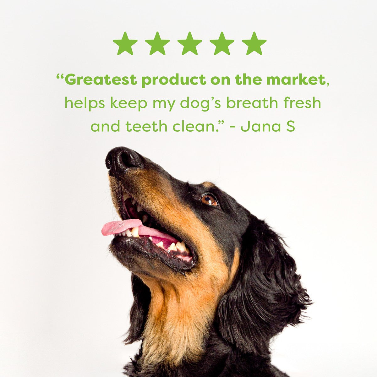 Bell & Bone Chicken, Mint and Seaweed Dental Sticks Dog Treats