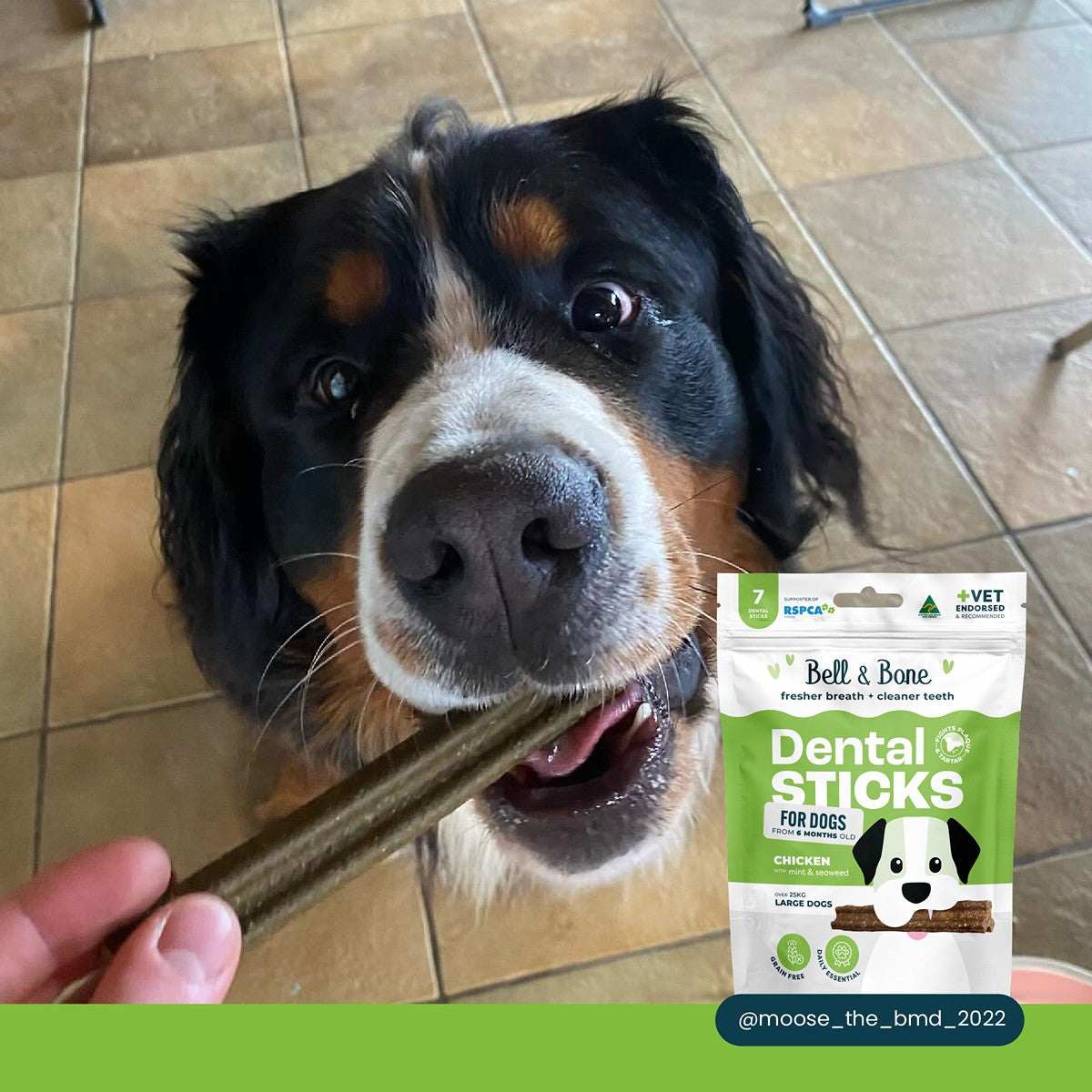 Bell & Bone Chicken, Mint and Seaweed Dental Sticks Dog Treats