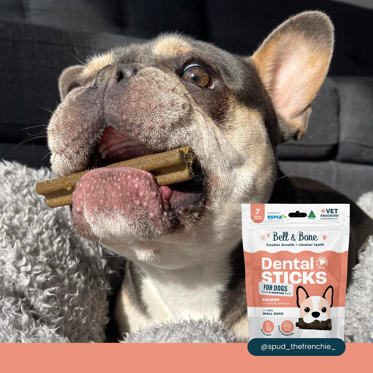 Bell & Bone Salmon, Mint and Charcoal Dental Sticks Dog Treats