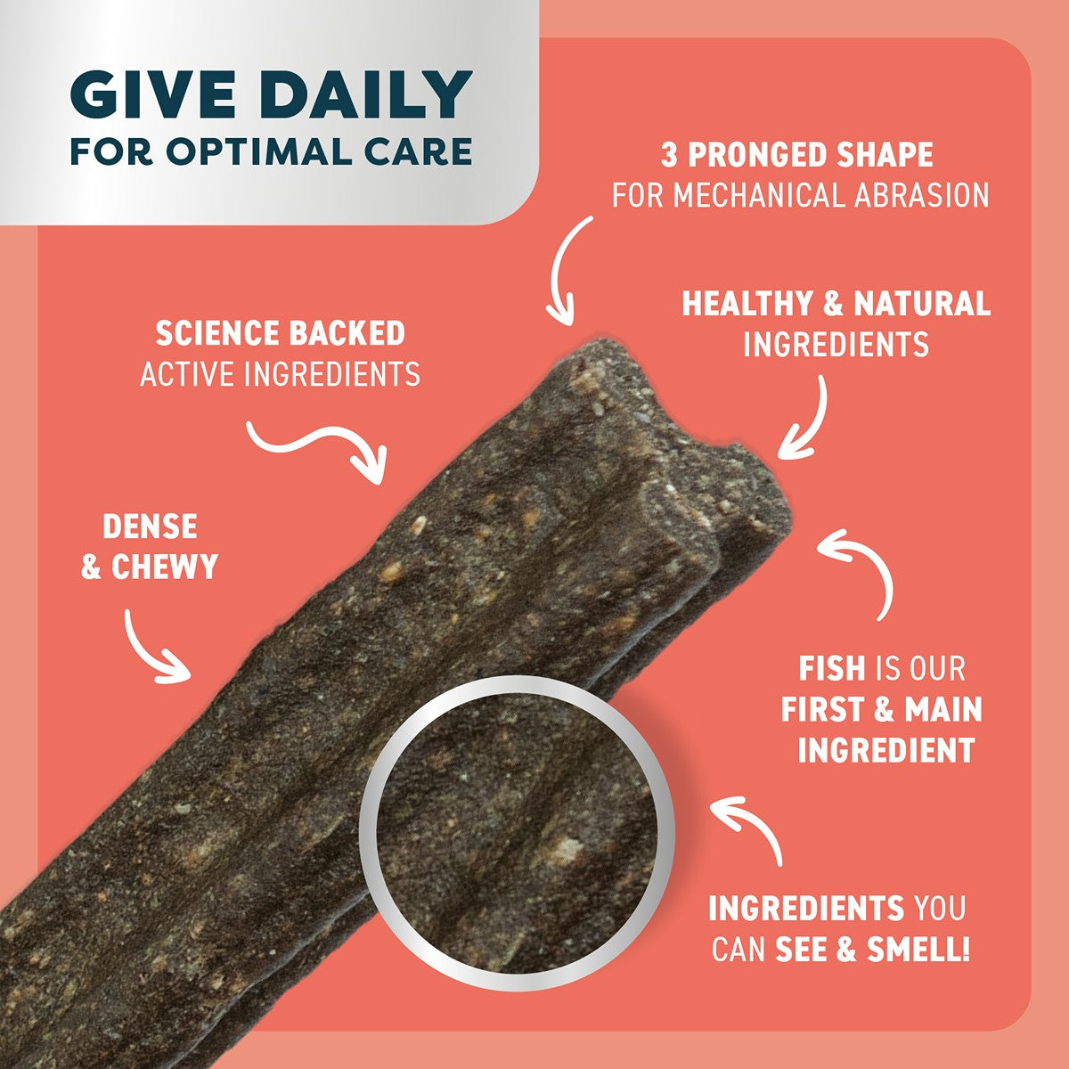 Bell & Bone Salmon, Mint and Charcoal Dental Sticks Dog Treats