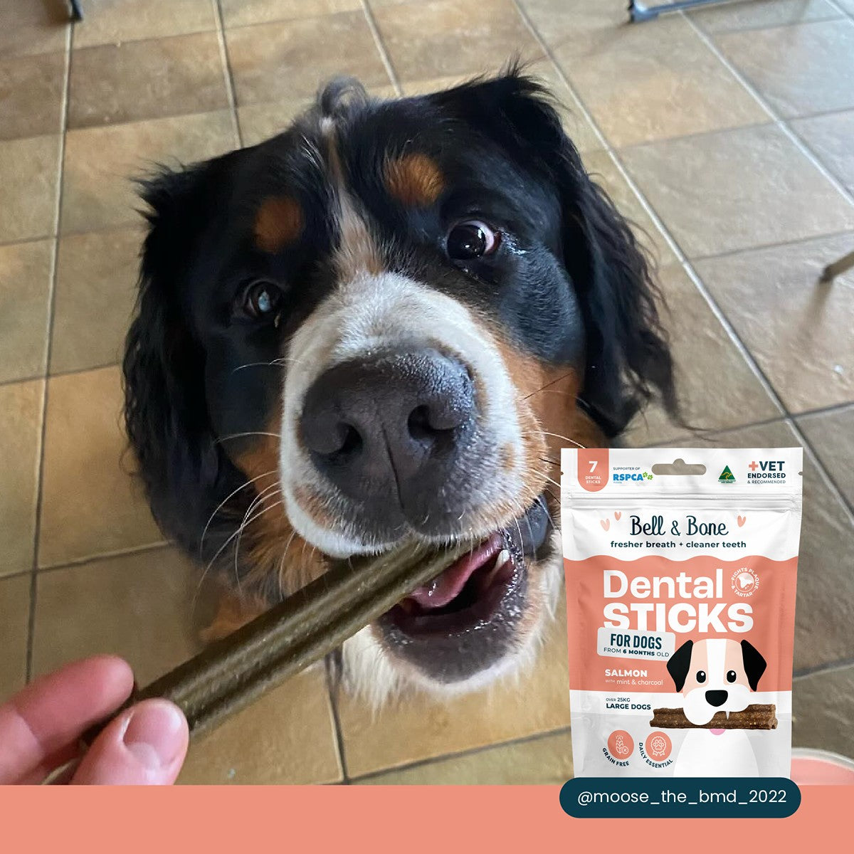 Bell & Bone Salmon, Mint and Charcoal Dental Sticks Dog Treats