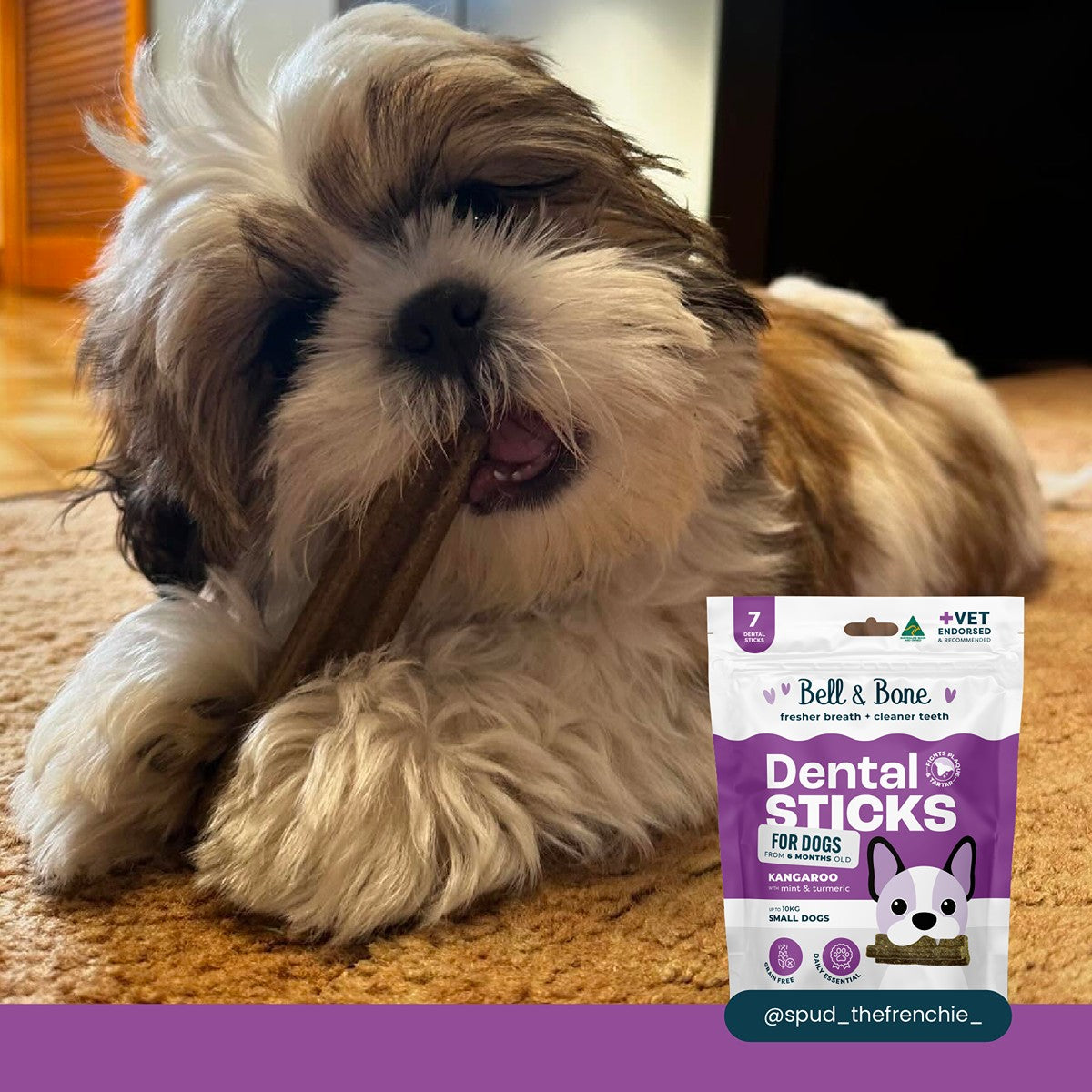 Bell & Bone Kangaroo, Mint and Turmeric Dental Sticks Dog Treats