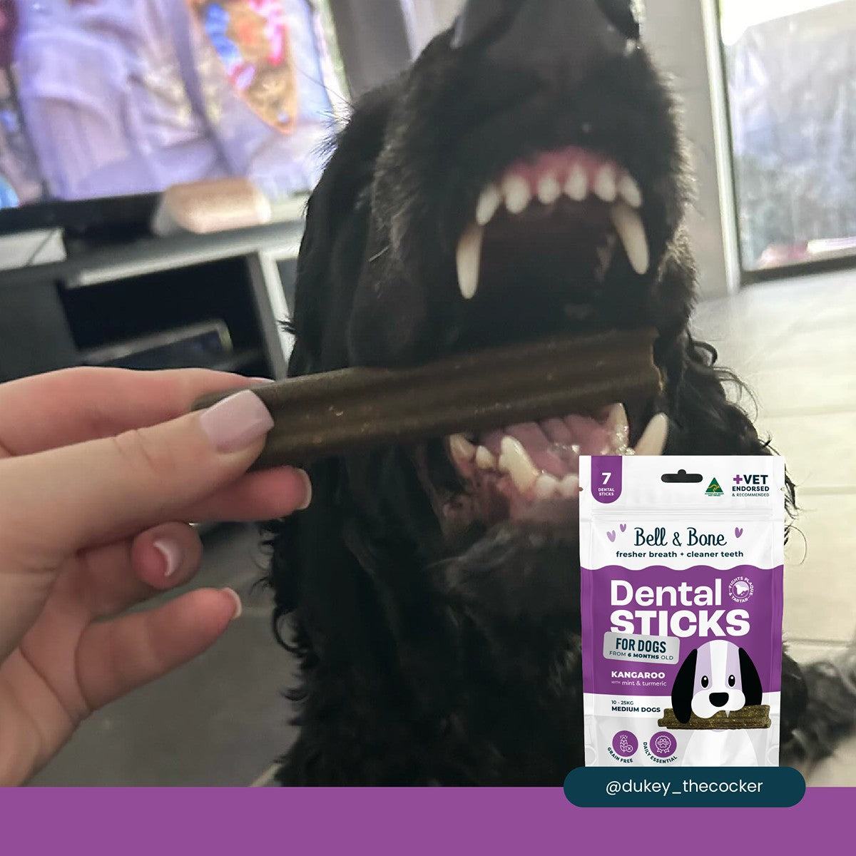 Bell & Bone Kangaroo, Mint and Turmeric Dental Sticks Dog Treats