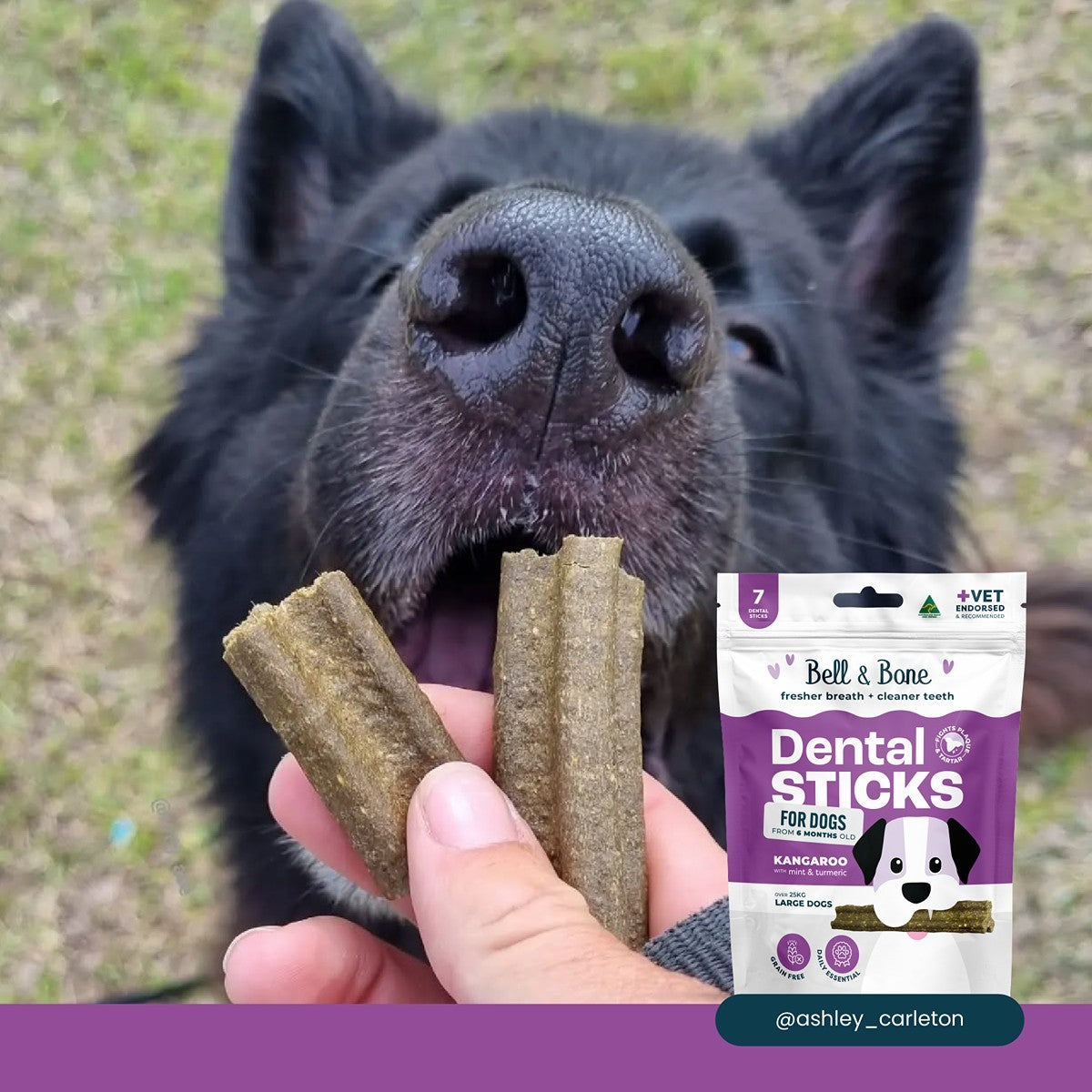 Bell & Bone Kangaroo, Mint and Turmeric Dental Sticks Dog Treats