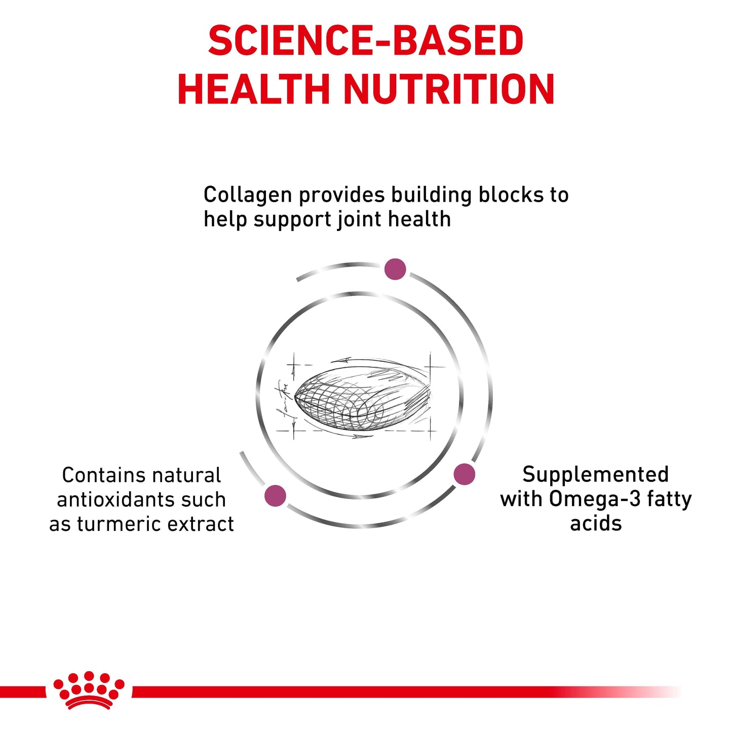 Royal Canin Vet Mobility C2P+ Dry Dog Food