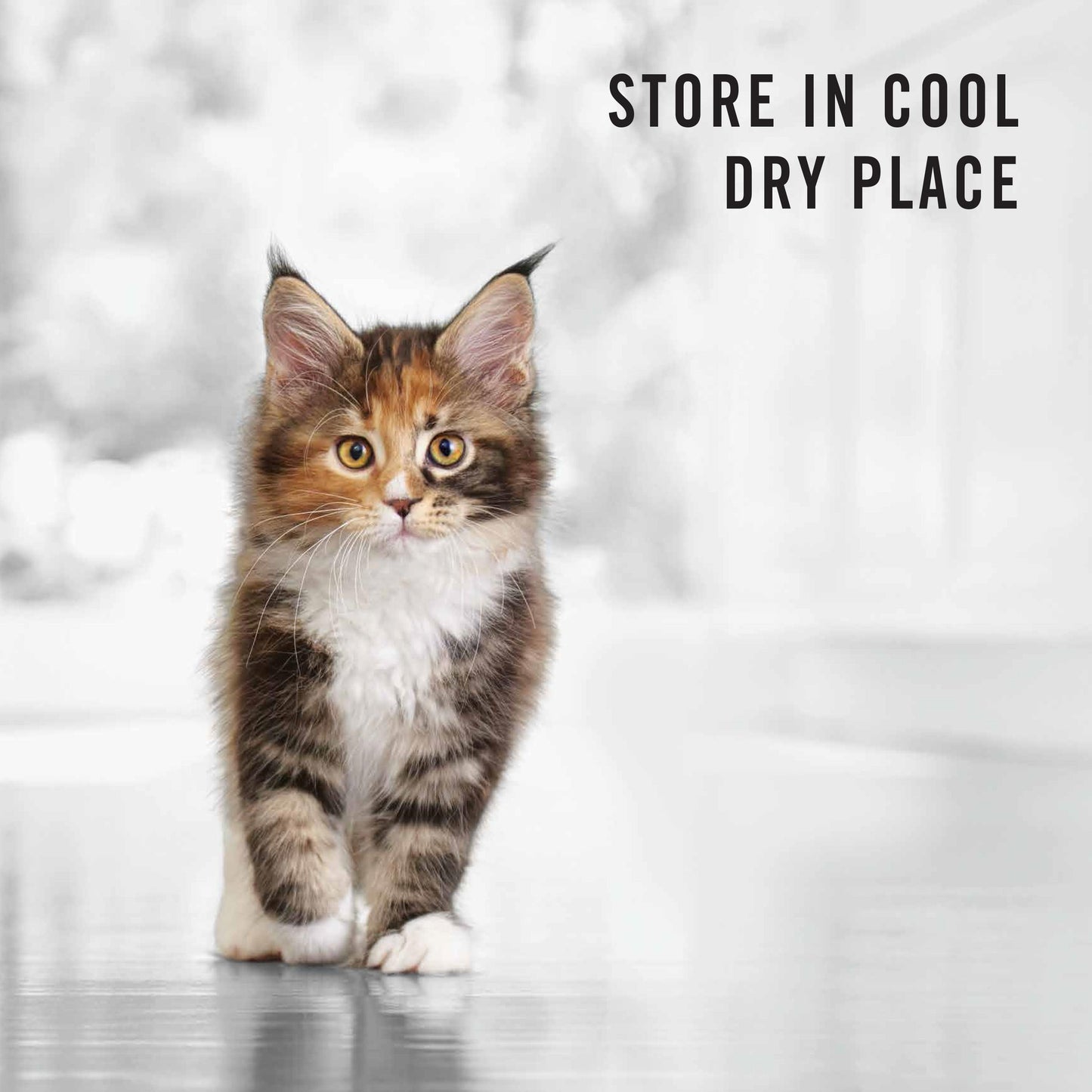 PRO PLAN Kitten Chicken Formula Dry Cat Food