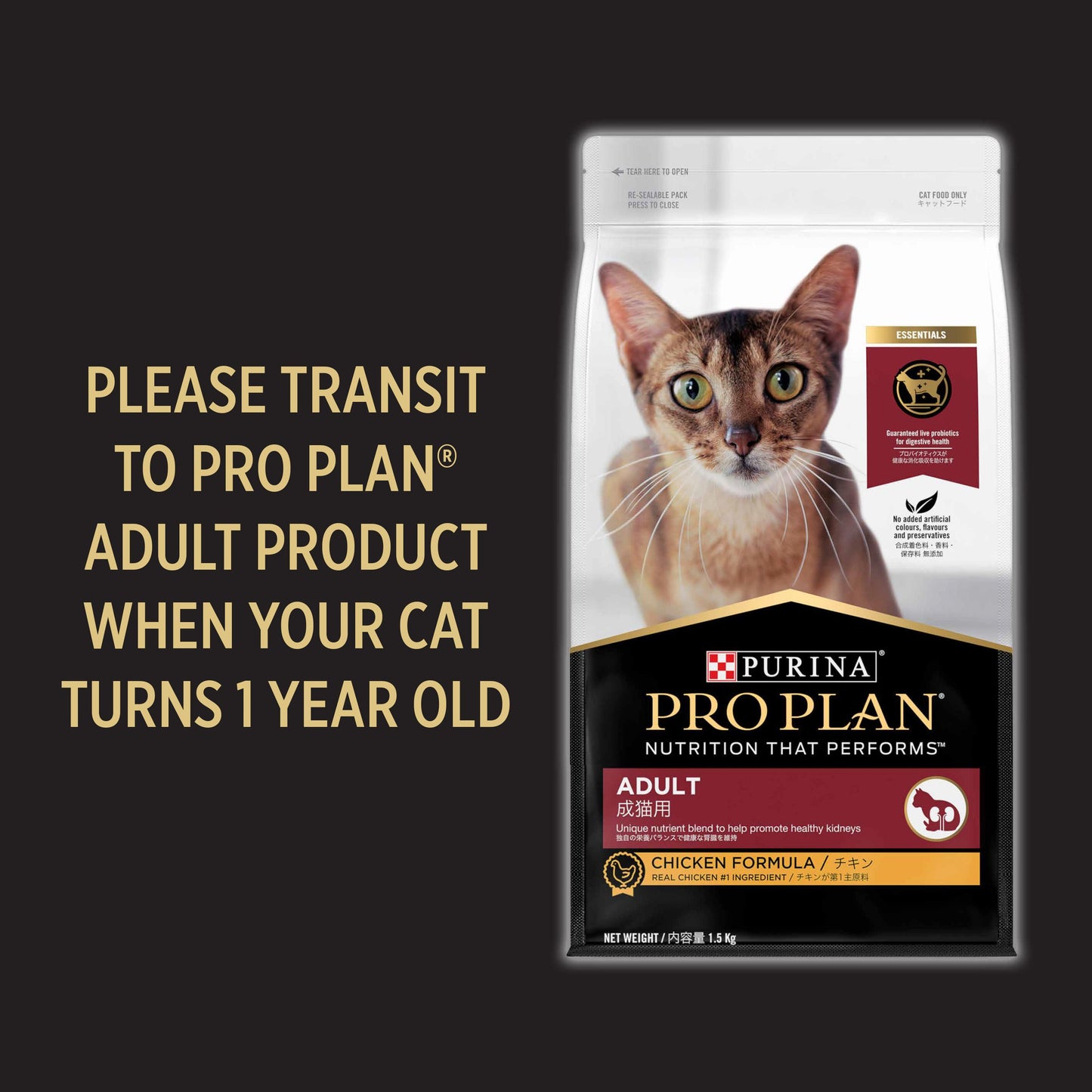 PRO PLAN Kitten Chicken Formula Dry Cat Food