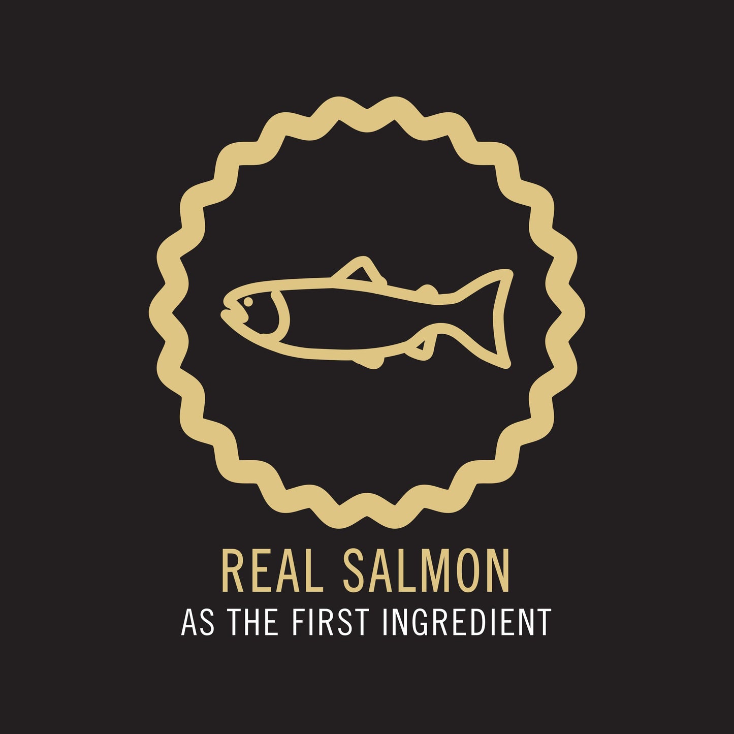 PRO PLAN Adult Salmon Formula Dry Cat Food