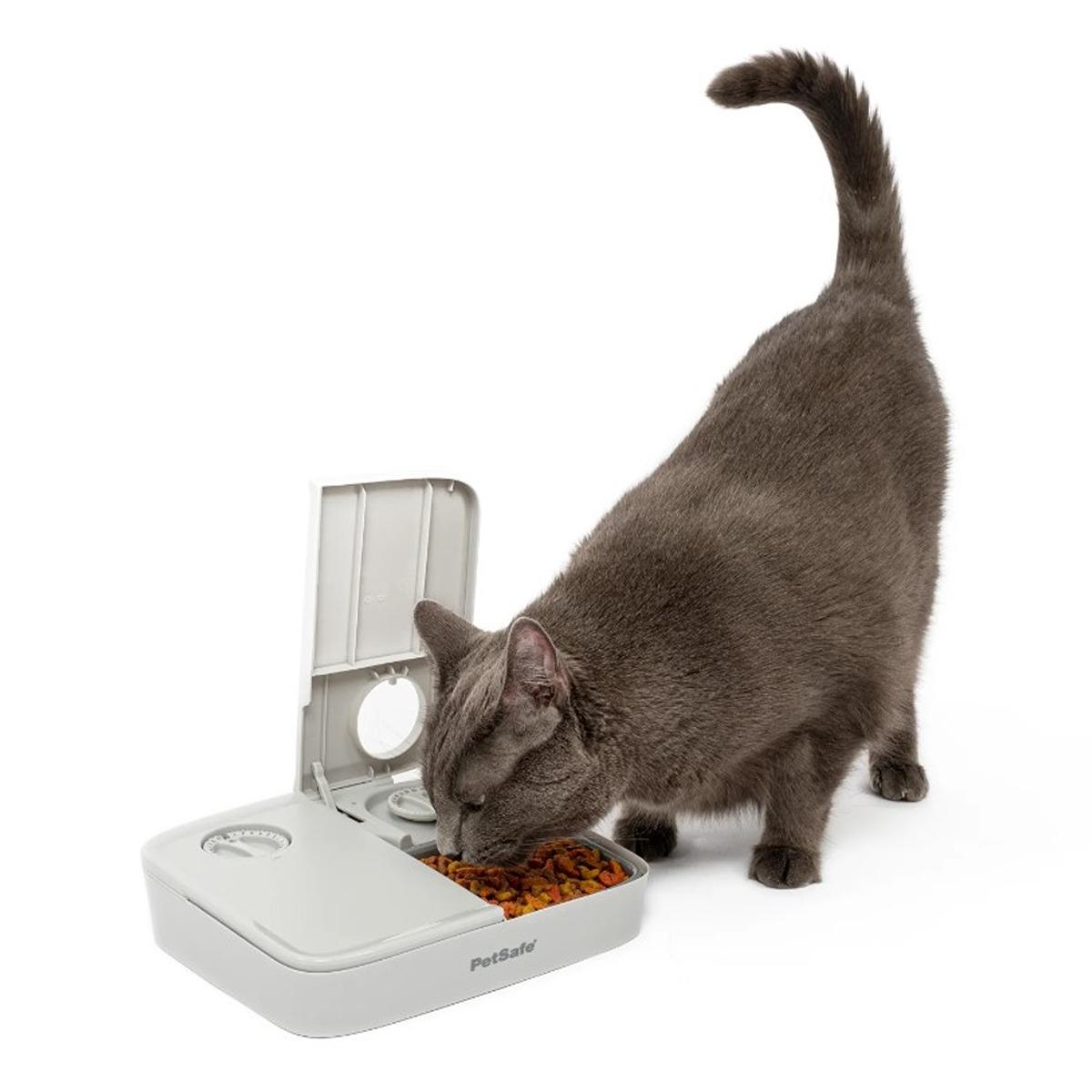 PetSafe Automatic 2 Meal Pet Feeder