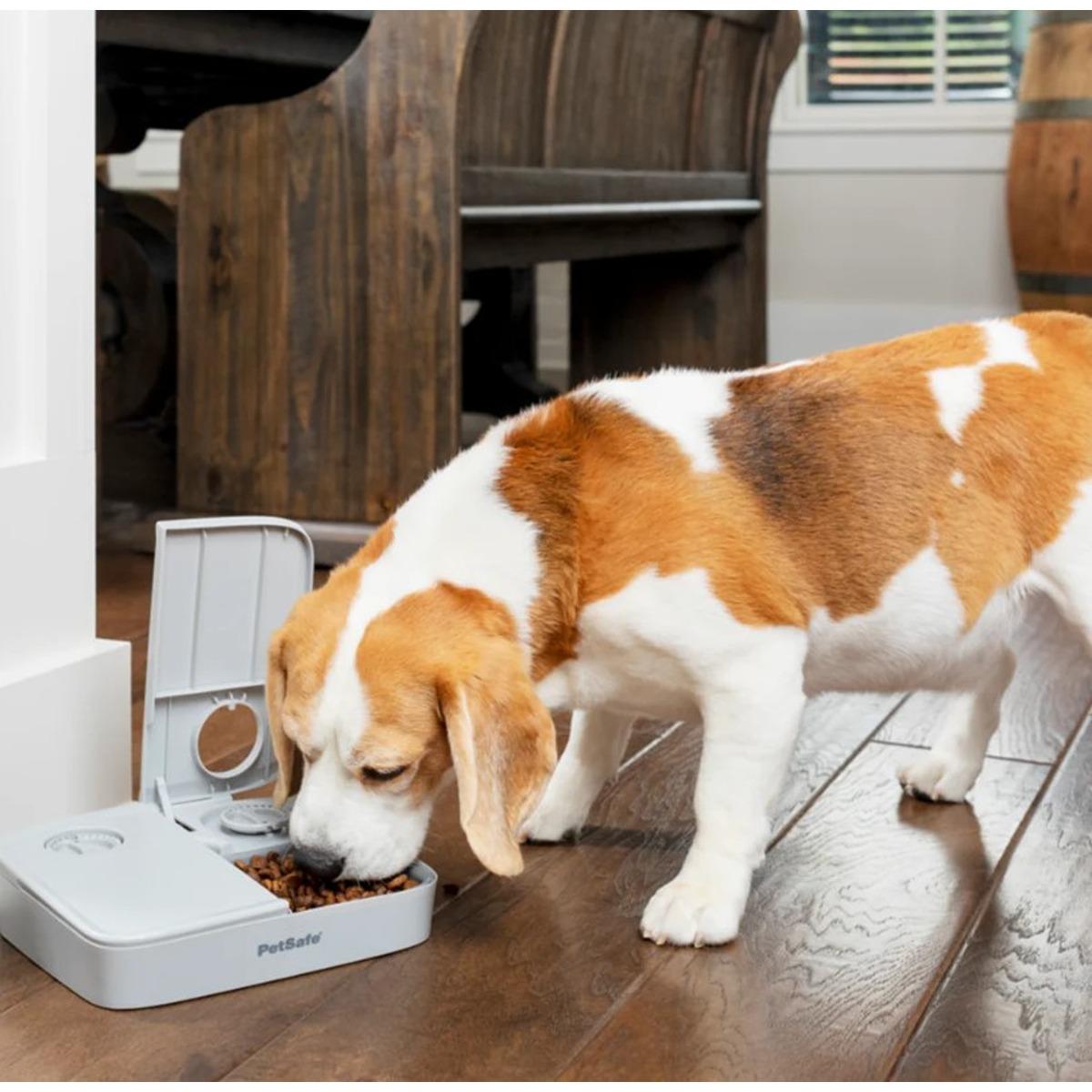 PetSafe Automatic 2 Meal Pet Feeder