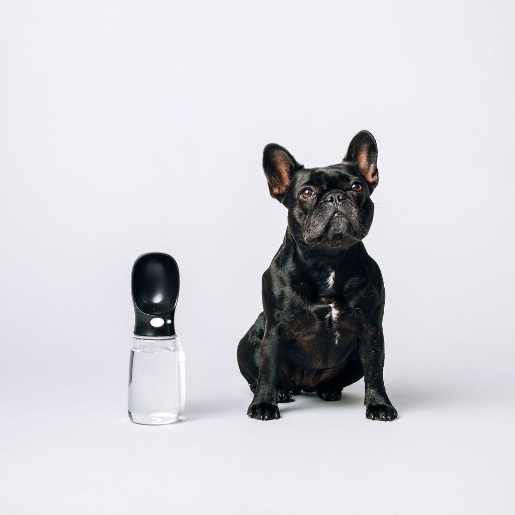 Thirsty Dog Drink Bottle