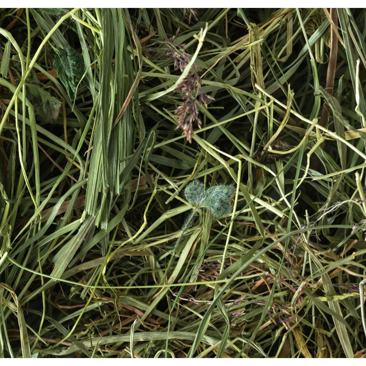 Topflite Meadow Hay