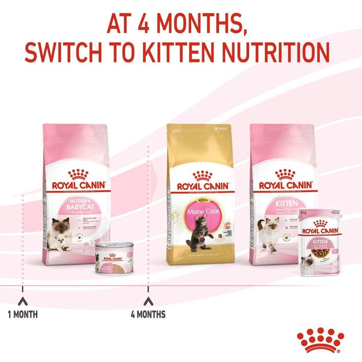 Royal Canin Mother & Babycat Wet Cat Food