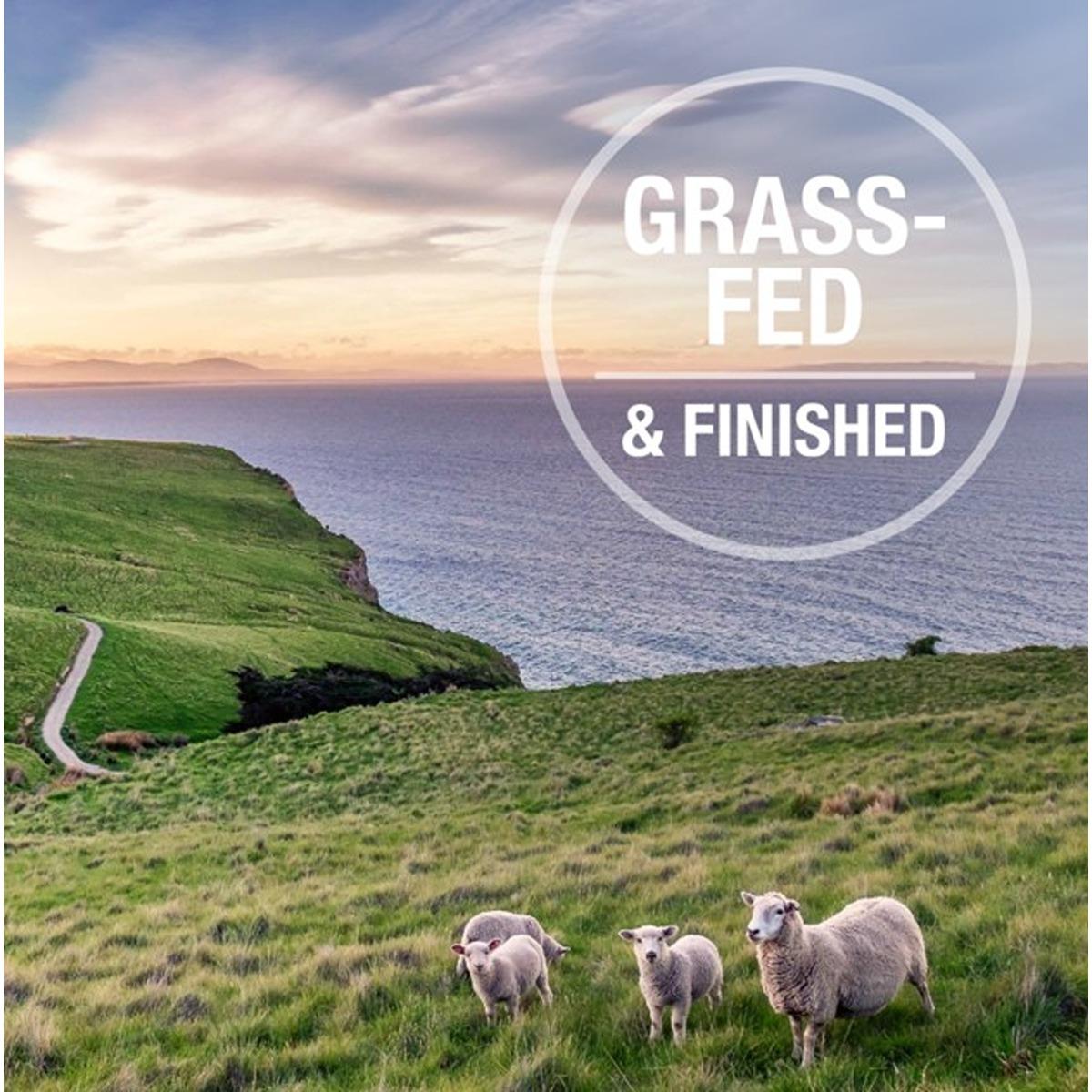 Feline Natural Lamb & Salmon Wet Cat Food