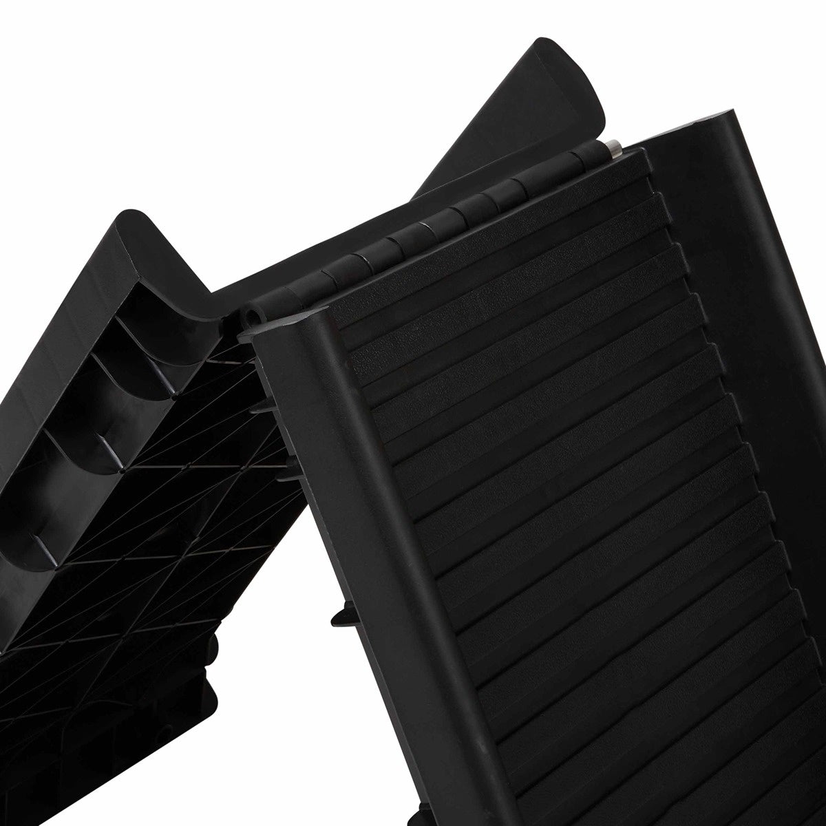 Buddy & Belle Foldable Ramp