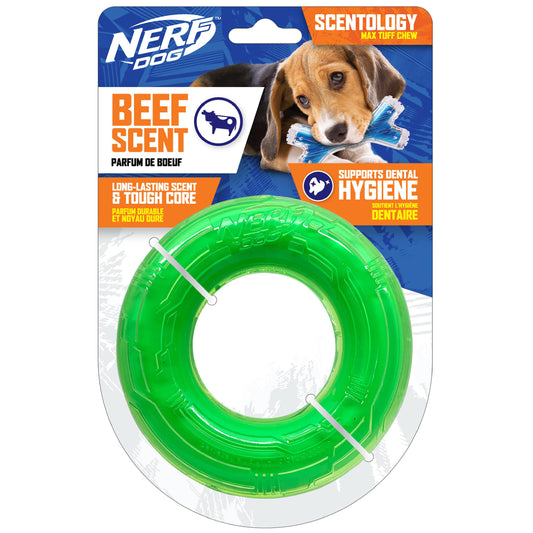 NERF Scentology Solid Core Ring Dog Toy