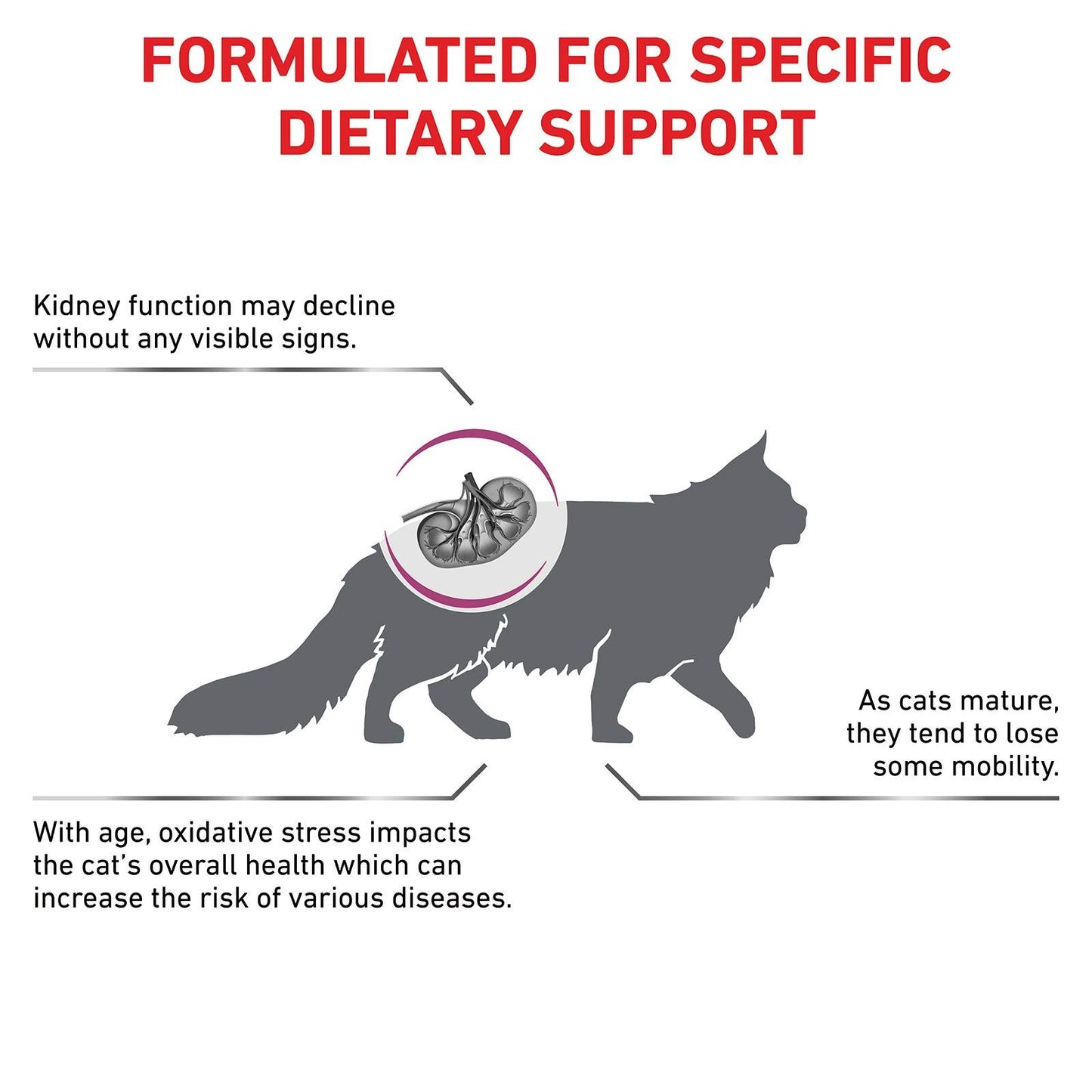 Royal Canin Vet Early Renal Dry Cat Food