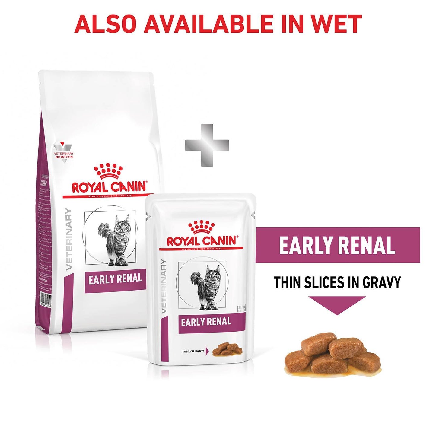 Royal Canin Vet Early Renal Dry Cat Food