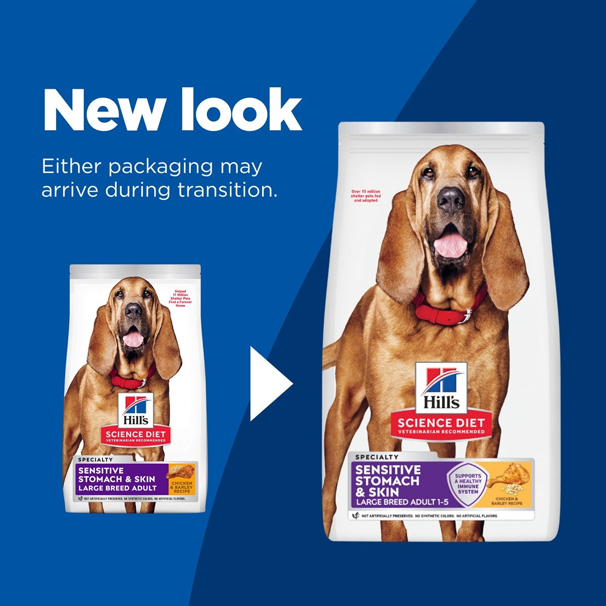Hill's Science Diet Adult Sensitive Stomach & Skin Large Breed Dry Dog Food
