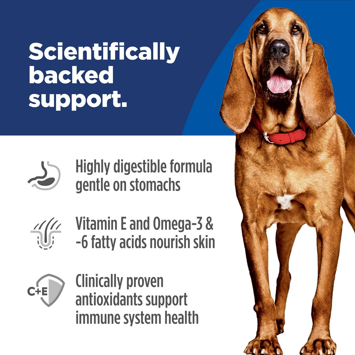 Hill's Science Diet Adult Sensitive Stomach & Skin Large Breed Dry Dog Food